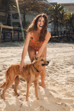 Charger l'image dans la galerie, Image 14: Rio De Sol Bas Bottom Maracai Essential